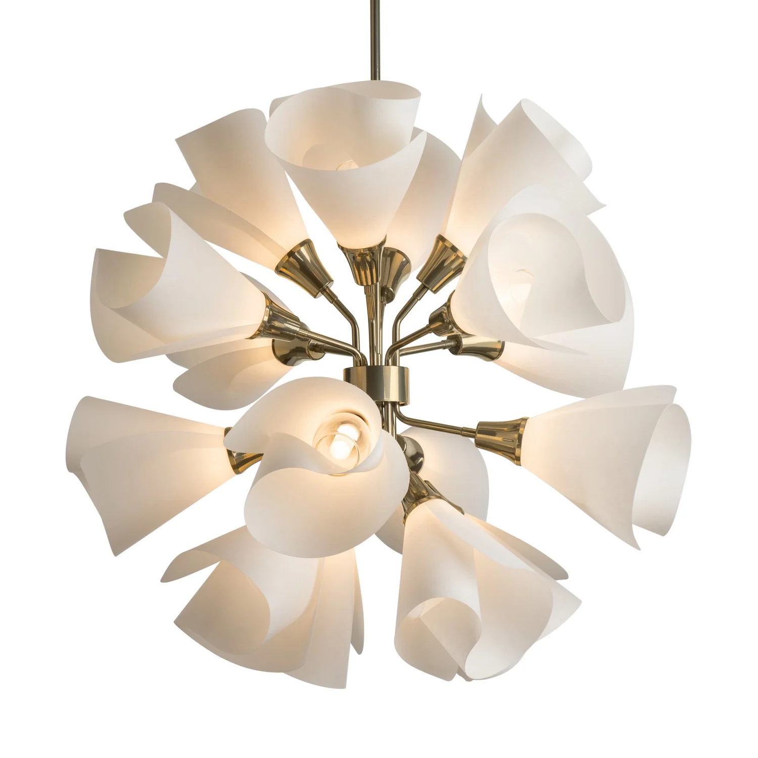 Product image 101